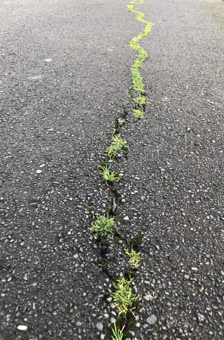 El esfuerzo y la felicidad. Inmaculada Valliina