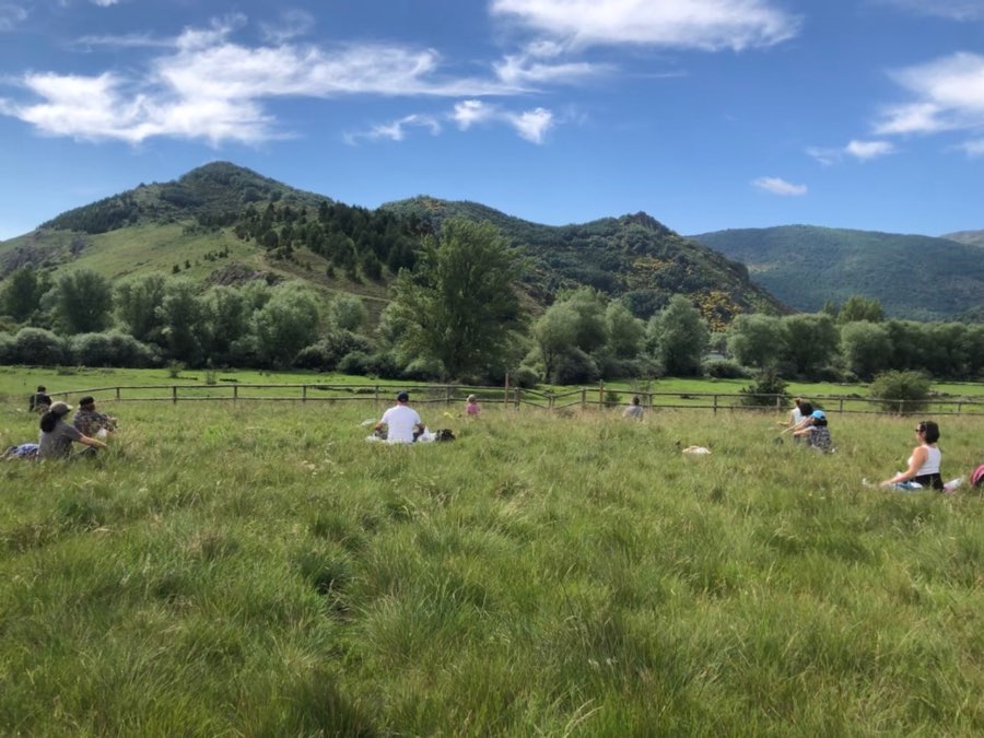 La contemplación de la belleza - Inmaculada vallina