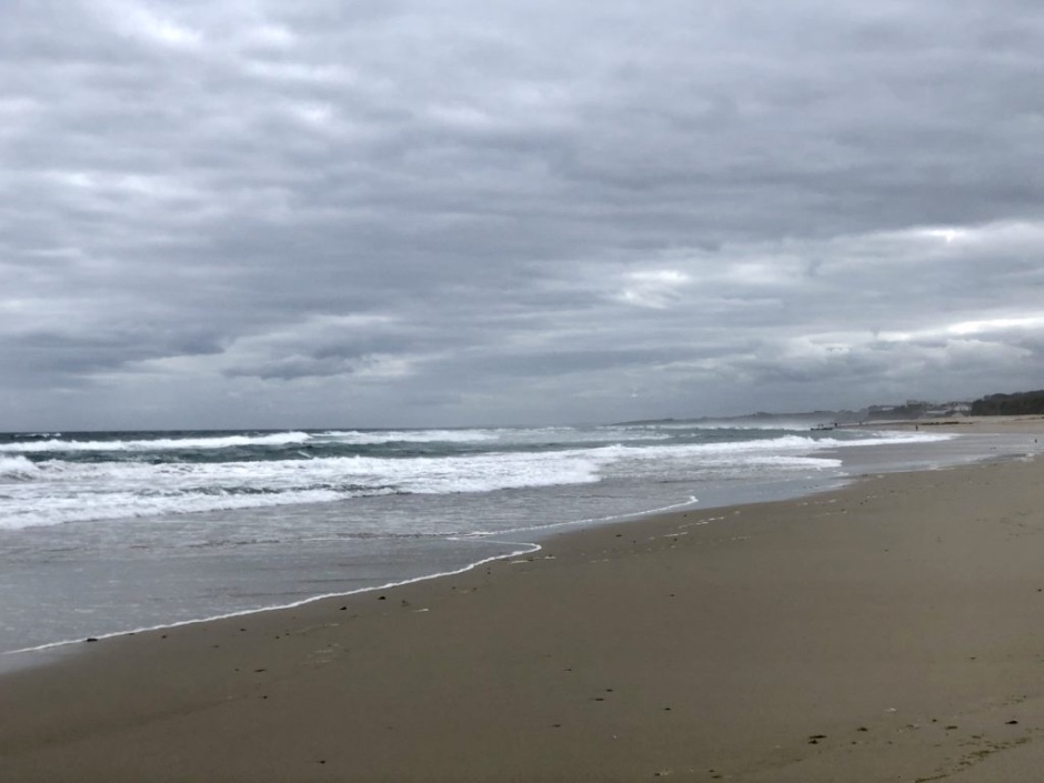 Despeidas y comienzos. Inmaculada Vallina