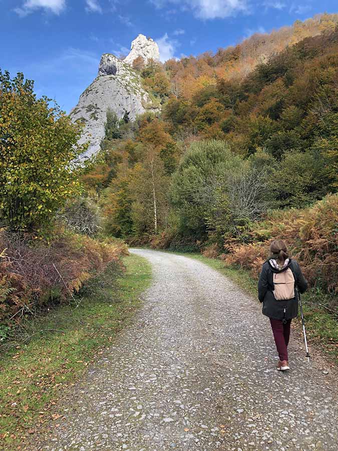 silencio, meditación y naturaleza