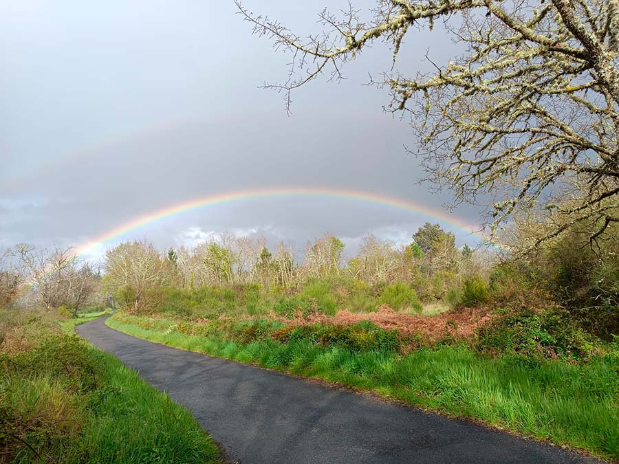 terapia de aceptación y compromiso